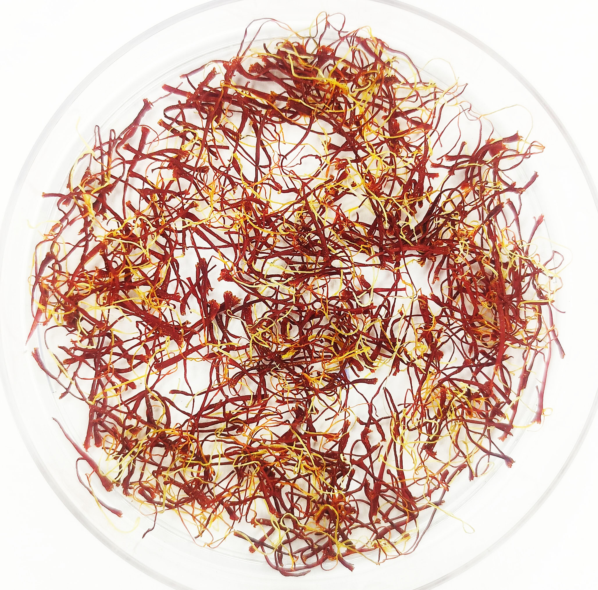 Saffron 1000mg