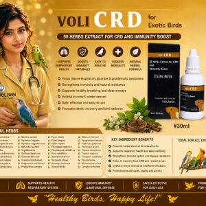 VOLI CRD – Herbal Respiratory & Immunity Support for Exotic Birds 100ml