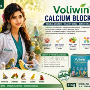 VOLIWIN CALCIUM BLOCK – Natural Strength & Better Breeding for Pet Birds 100g