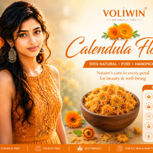 Calendula Flowers