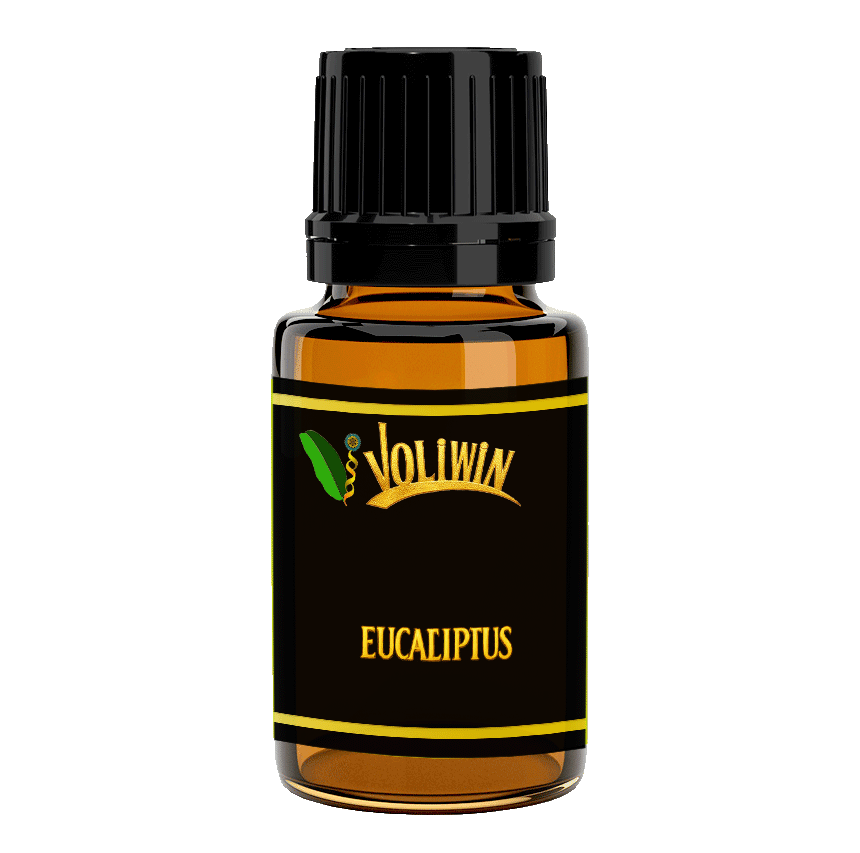 Eucalyptus (Nilgiri) Essential & Aromatic Oil 15ml