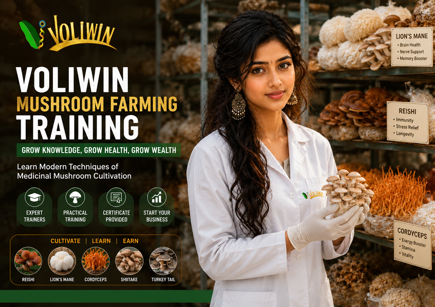 Button Mushroom Farming