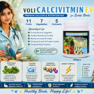 VOLI CALCIVITMIN FV – Premium Calcium & Nutrition Mix for Exotic Birds 300g